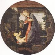 Madonna in Adoration of the Christ Child (mk36) Sandro Botticelli